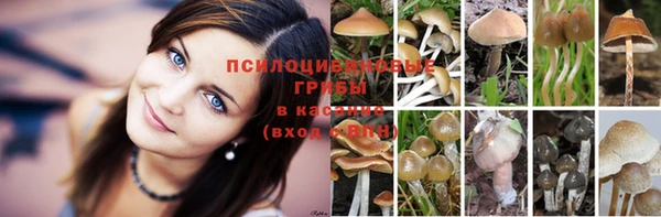 скорость Абаза