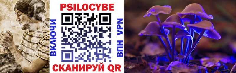 Галлюциногенные грибы мухоморы  omg маркетплейс  Суздаль 